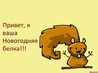 Привет, я ваша Новогодняя белка!!!