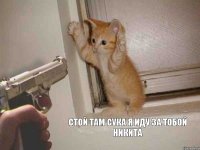 стой там сука я иду за тобой никита