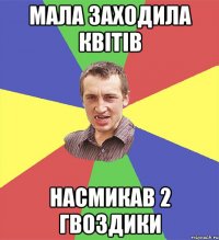 мала заходила квітів насмикав 2 гвоздики