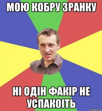 мою кобру зранку ні одін факір не успакоіть