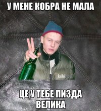 у мене кобра не мала це у тебе пизда велика