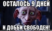 Осталось 9 дней И Добби свободен!