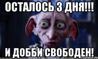 Осталось 3 дня!!! И Добби свободен!