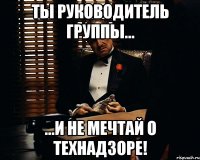 ты руководитель группы... ...и не мечтай о технадзоре!