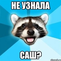 Не узнала Саш?