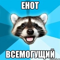 Енот Всемогущий