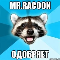 Mr.Racoon Одобряет