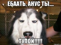 Ебаать, Анус ты.... ТУПОЙ!!!!!