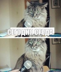 Сегодня среда.