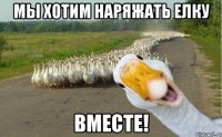 Мы хотим наряжать елку вместе!