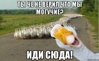 Ты че не верил что мы могучие? Иди сюда!