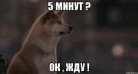 5 минут ? ок , жду !