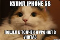 купил iPhone 5s Пошел в толчёк и уронил в унитаз