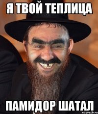 я твой теплица памидор шатал