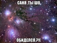 Саня ,ты шо обиделся ?!(