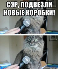 Сэр, подвезли новые коробки! 