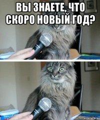 Вы знаете, что скоро Новый год? 