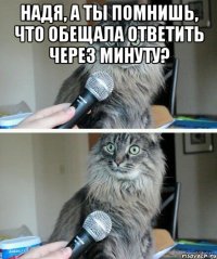 Надя, а ты помнишь, что обещала ответить через минуту? 