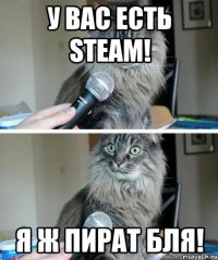 У вас есть Steam! Я ж пират бля!