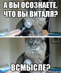 А вы осознаете, что вы Виталя? Всмысле?