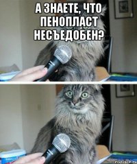 А знаете, что пенопласт несъедобен? 