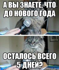 А вы знаете, что до Нового года осталось всего 5 дней?