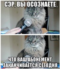 СЭР, ВЫ ОСОЗНАЕТЕ что ваш абонемент заканчивается сегодня