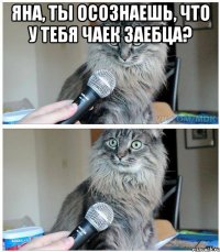 Яна, ты осознаешь, что у тебя чаек заебца? 