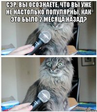 Сэр, вы осознаёте, что вы уже не настолько популярны, как это было 2 месяца назад? 