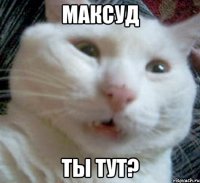 Максуд ты тут?