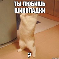 ты любишь шиколадки ?