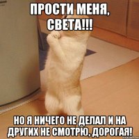 Прости меня, СВЕТА!!! Но я ничего не делал и на других не смотрю, дорогая!