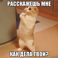 расскажешь мне как дела твои?