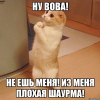 Ну Вова! Не ешь меня! Из меня плохая шаурма!