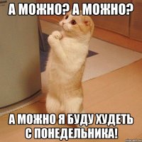 А МОЖНО? А МОЖНО? А МОЖНО Я БУДУ ХУДЕТЬ С ПОНЕДЕЛЬНИКА!