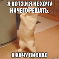 Я котэ,и я не хочу ничего решать, я хочу вискас