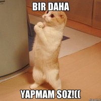 Bir daha yapmam soz!((