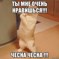 Ты мне очень нравишься!!! Чесна Чесна !!!