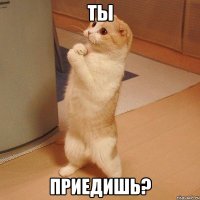 ты приедишь?