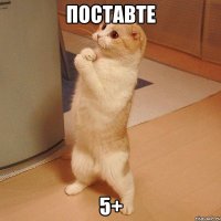 Поставте 5+