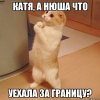 катя, а нюша что уехала за границу?