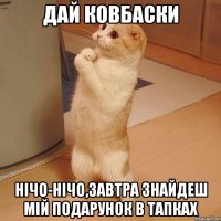 Дай ковбаски Нічо-нічо,завтра знайдеш мій подарунок в тапках