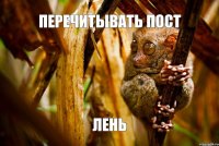 перечитывать пост лень