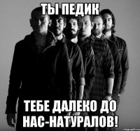 ты педик тебе далеко до нас-натуралов!