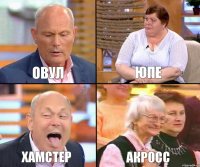 юпе овул хамстер акросс