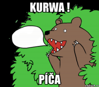 kurwa ! Píča