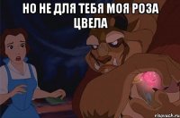 но не для тебя моя роза цвела 