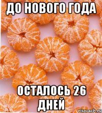 До Нового Года осталось 26 дней