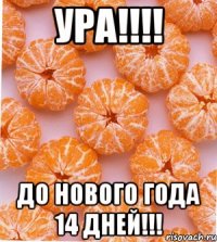 уРА!!!! ДО НОВОГО ГОДА 14 ДНЕЙ!!!