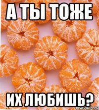 А ты тоже их любишь?